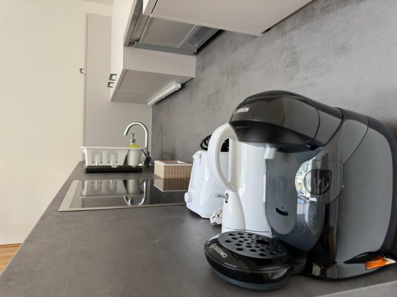 Muzeta - Eco-friendly Parkview In Graz's Smart