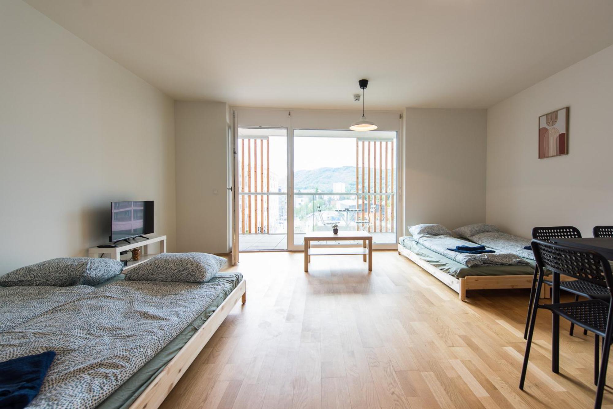 Muzeta - Eco-friendly Parkview In Graz's Smart * Graz